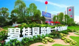 林州碧桂园爆料信息最新,揭秘项目进展与未来规划！